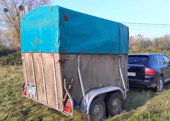 Przyczepa do przewozu koni niemiecka