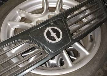Grill polonez atu