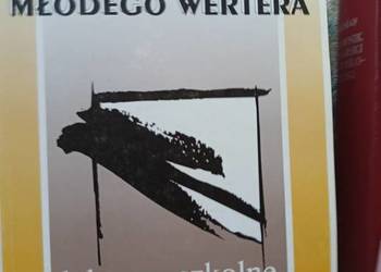 Cierpienia młodego Wertera lektury szkolne księgarnia Praga