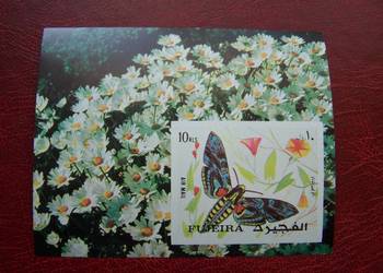 Fujeira 1972 MNH Fauna Motyle ćmy