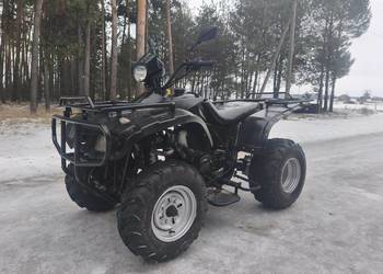 Quad 250cm Zajerejestrowany