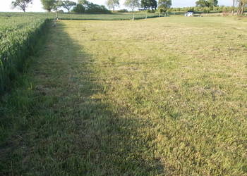 Mieszkowice Działka 5477m2