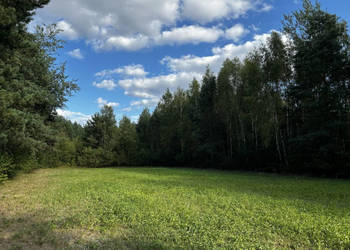 UROKLIWE MIEJSCE BLISKO NATURY