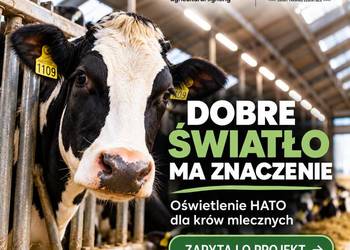 Lampy LED do obory – więcej mleka dzięki światłu | HATO
