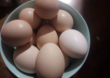 Jajka wiejskie do konsumpcji