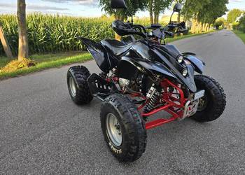Quad Shineray Bashan 250cc 4+1r Ciecz Duża Rama Zarejestrowany!