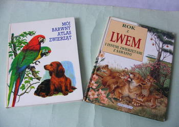 Rok z lwem i innymi zwierzętami Mój barwny atlas zwierząt Rok z lwem i innymi zwierzętami Mój barwny atlas zwierząt
