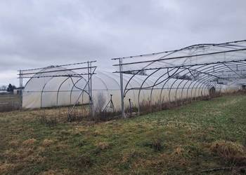 Tunel Foliowy 31.5 x 7