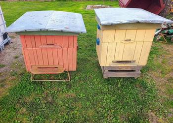 Ule wielkopolskie 12 ramkowe z pełną nadstawką