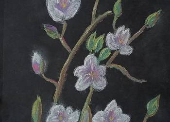 Magnolia Pastele suche A4