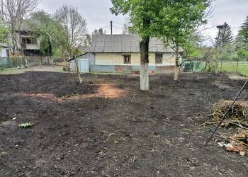 Siedlisko, dom drewniany, obora, stodoła,