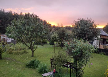 Działka ROD z domkiem 2025 – Aleksandrów Kujawski rower