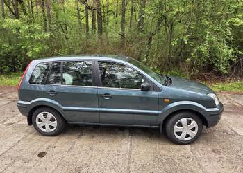 Ford fusion 2003 Zadbany