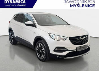 Opel Grandland X 1.2Turbo 130KM M6 2017/18 r., salon PL, przebieg 120tys.km