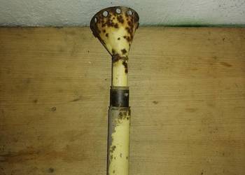 rurki amazone D4 d5