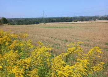 Działki budowlane – 110 zł/m² – Uniegoszcz