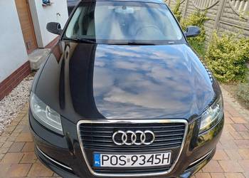 Audi A3 8P Lift 1.6 TDI przebieg 128tys.