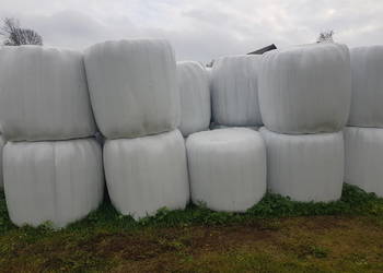 Sprzedam bele siana.