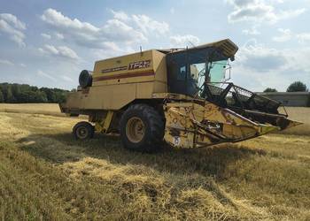 New Holland tf 42 plus hedre do kukurydzy