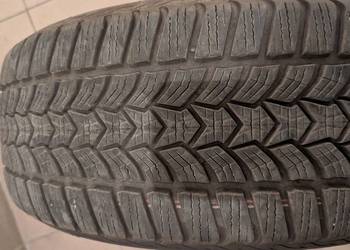 2 x Dębica FRIGO HP2 215/55 R17 Extra Load 50 tydzień 2023