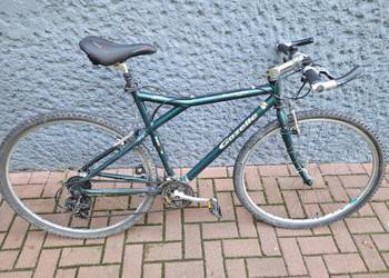 Rower 28" Gazelle Torrente szosowy fitness Poznań