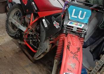 Sprzedam malagutti gryzzli 50