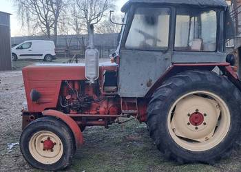 Wladimirec władimirec t-25 zarejestrowany oryginał