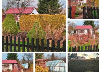 Nieruchomości Działka