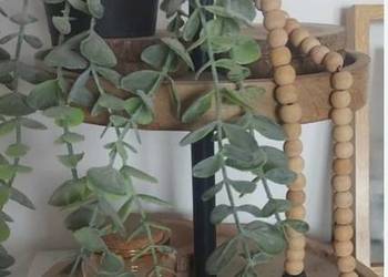 Patera dwu poziomowa