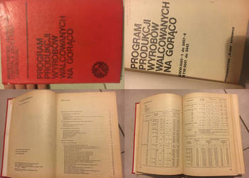 Program produkcji wyrobów walcowanych na gorąco