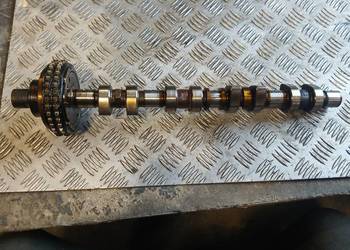 Wałek Rozrządu Ssący  R1113601 Mercedes 2.0 B