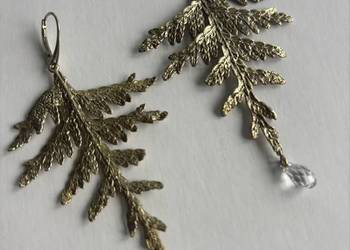 Kolczyki Thuja Orska Kolczyki Thuja Orska