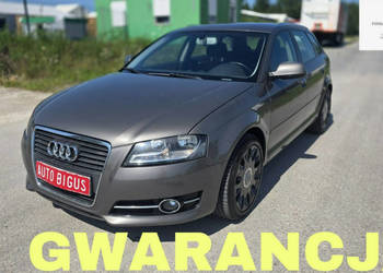 Audi A3 Sportback Climatronic zarejestrowane wymieniony rozrząd 8P (2003-2…