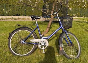 Rower Jubilat Uniwersal 24"