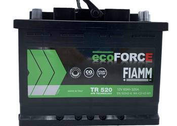 Akumulator 60AH Fiamm ECOFORCE AFB