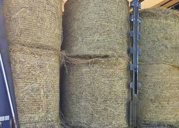 Słoma, Sia, transport w cenie