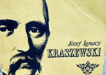 Pałac i folwark Kraszewski książki outlet antykwariat outlet