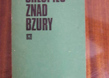 Ferdynand Zamojski - Chłopiec znad Bzury