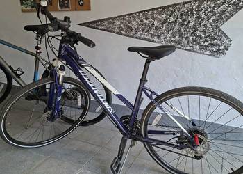 Rower specjalizet elite