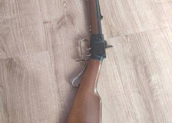 Czarnoprochowy bardan oraz remington