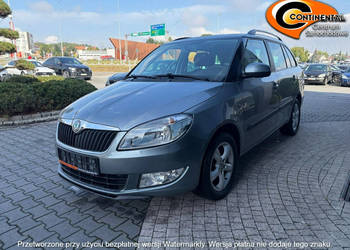 Škoda Fabia Stan bdb,pierwszy właściciel! II (2007-2014)