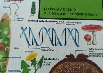 Słownik botaniczny książki pierwsze wydanie księgarnia Praga Słownik botaniczny książki pierwsze wydanie księgarnia Praga
