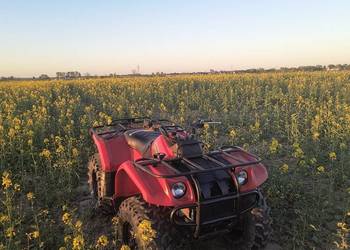 Yamaha kodiak 400