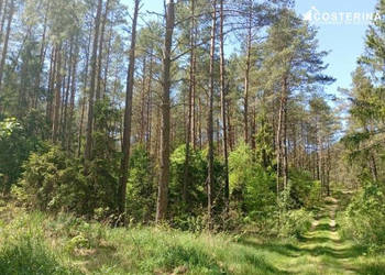 Działka 145300m2 Gostomie
