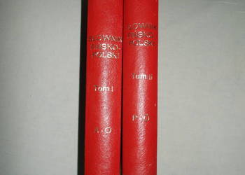 Słownik fińsko-polski tom 1-2 A-O P-Ó  Czesław Kudzinowski