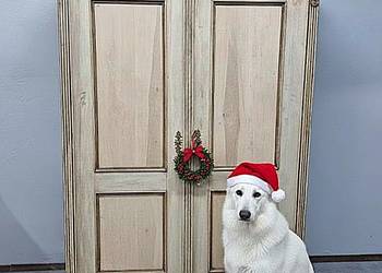 Bardzo Ładna Szafa Eklektyczna AntykiMarki.pl