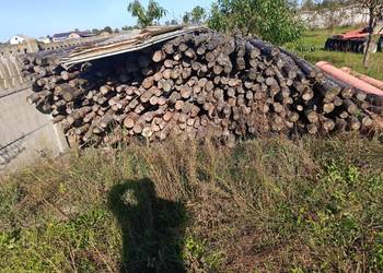 Stemple budowlane 350 sztuk