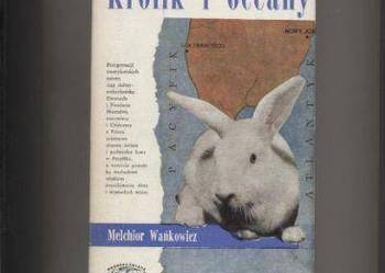 Królik i oceany Wańkowicz