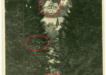 Waldblick nach Oberbarenburg Postkarte