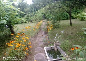 Działka Przylaszczka Łódź Okazja!!!